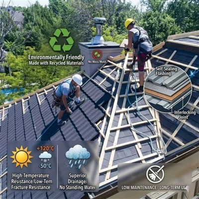 Beyond andigman an: Ki jan Shandong YiSheng ap redefini estanda twati mondyal yo